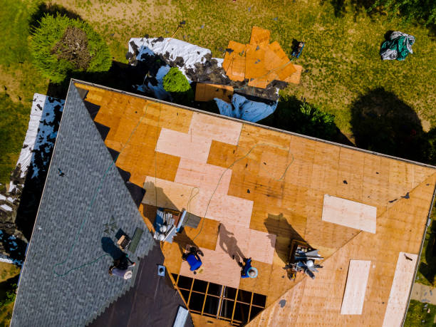 Best Roof Maintenance Services  in Liberty, KY