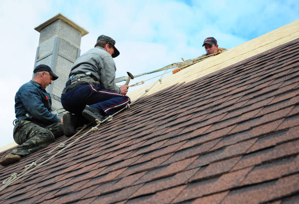 Best Roof Waterproofing Services  in Liberty, KY